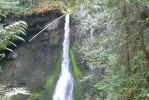 PICTURES/Marymere Falls and Hurricane Ridge Road/t_Falls2.JPG